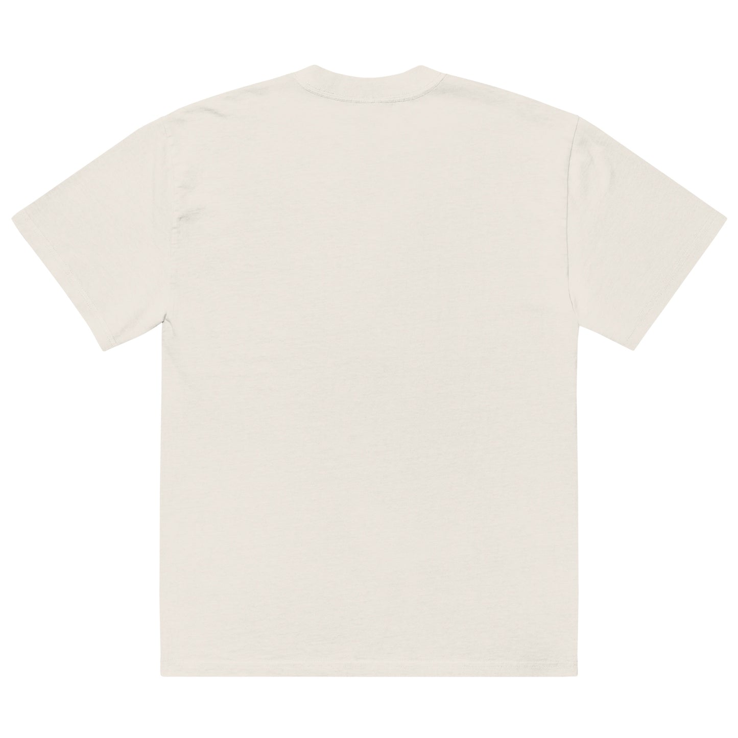 Sqdltd AU23 Goals Embroidered Oversized faded Tee WL